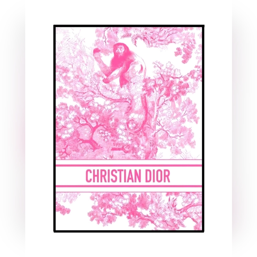 Dior 8.5"×11" Framed Wall Art